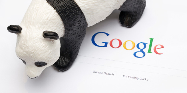 Panda Google